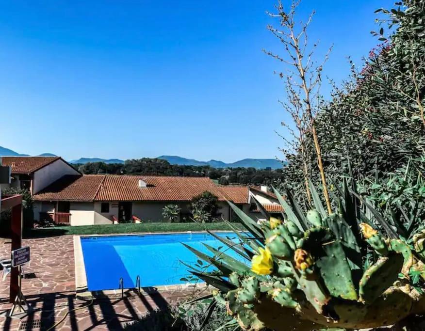Caporizon-Baillenia-T1 Vue Montagne - Piscine St Jean De Luz Apartment Saint-Jean-de-Luz Bagian luar foto